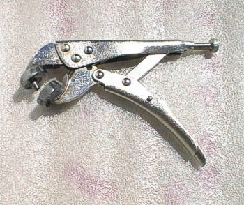532.jpg