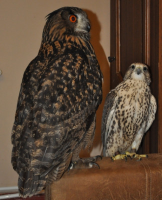 DSC_5176.jpg