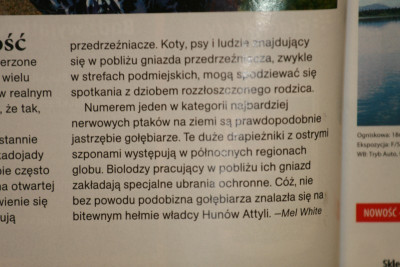 _home_www_s0.zmniejszacz.pl_Obraz 423_zmniejszacz-pl_184478.jpg