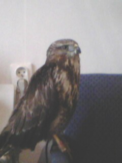 IMG00407.jpg