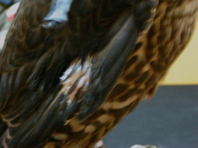DSC00621.JPG