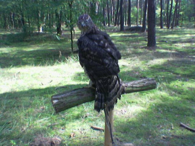 Image(073).jpg