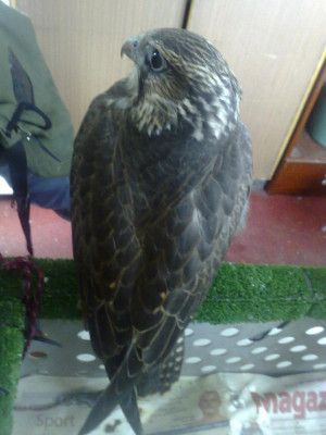 24062009634.jpg