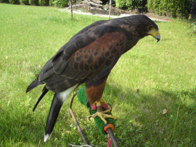 DSC01712.JPG