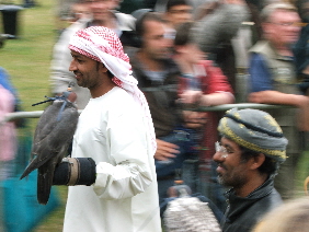 falconry festival 232.JPG