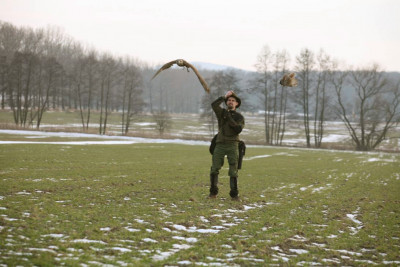 Obraz 115-.jpg