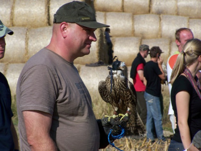 100_2281.JPG