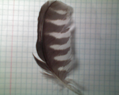 DSC00003.JPG