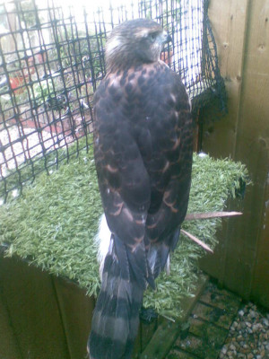 Image136.jpg