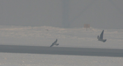 skoly 2010 r.JPG