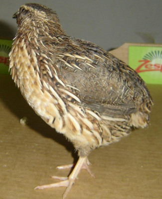 7.JPG