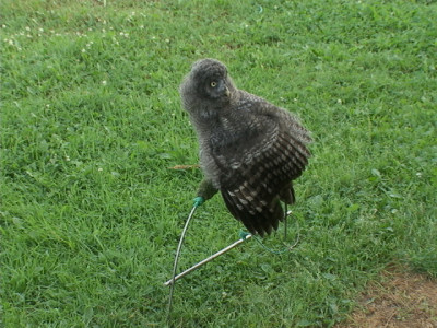 DSC00824.JPG