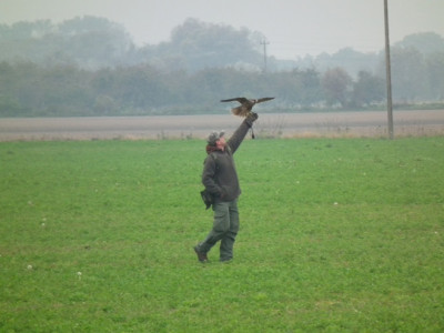 DSCF2036.JPG