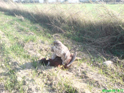DSC01380.JPG