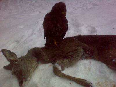 20101213600.jpg
