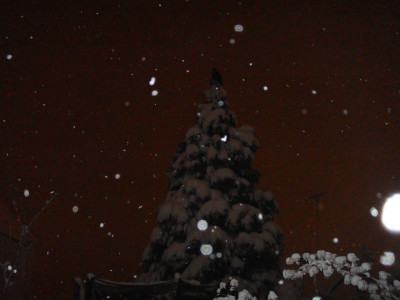 DSC03977.jpg
