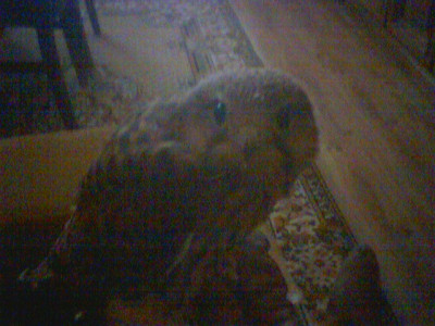 PIC000124.jpg