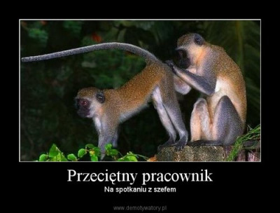 1301514106_by_daruso_500.jpg