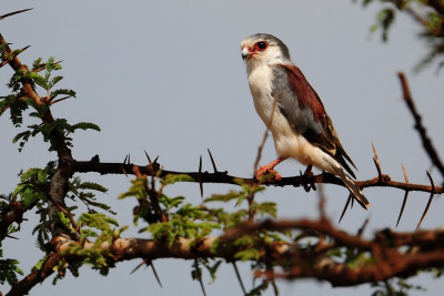 aaa.jpg