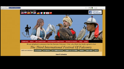 festival.jpg