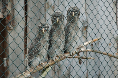 DSC_3170.JPG