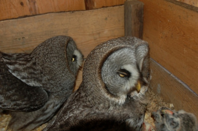 DSC_3064.JPG