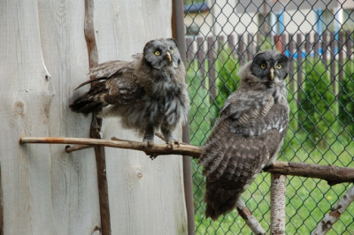 DSC_3316.JPG