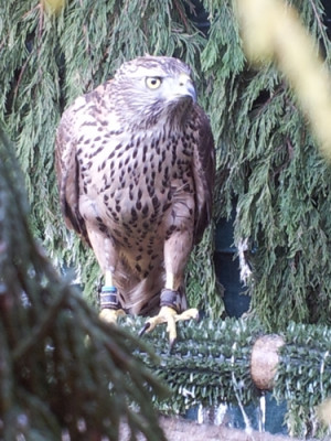 20120328_152328.jpg