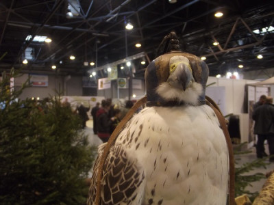 DSCF5525.JPG