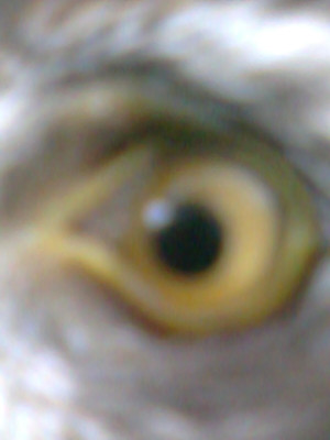Zdjęcie0209.jpg