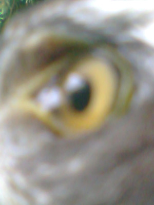 Zdjęcie0205.jpg