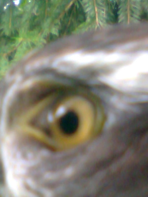 Zdjęcie0204.jpg